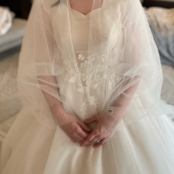 Custom Wedding Dress! Soft Blush w/Tulle Overlay, Sleeve (modest, LDS) - Picture 14 of 14
